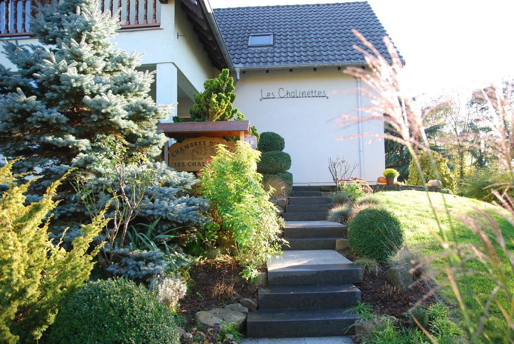 Chambres D'Hotes Les ChalinettesFegersheim エクステリア 写真