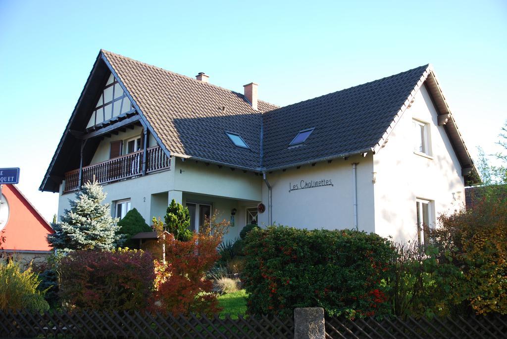 Chambres D'Hotes Les ChalinettesFegersheim エクステリア 写真