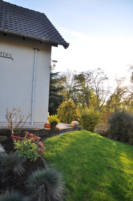Chambres D'Hotes Les ChalinettesFegersheim エクステリア 写真